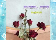 如何将鲜花变成干花保存（教你步步为营做出美丽干花）