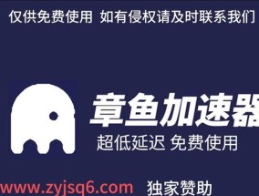 如何使用免费加速器软件畅游国外网站（提升访问速度）