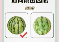 如何判断西瓜是否成熟（揭开西瓜成熟的5个关键特征）
