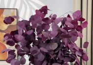 电脑桌永生花摆放技巧是什么？