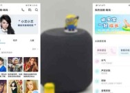 华为音箱使用vip功能有哪些技巧？