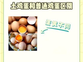 如何辨别土鸡蛋和饲养的鸡蛋（分辨土鸡蛋和饲养的鸡蛋的方法及其背后的故事）
