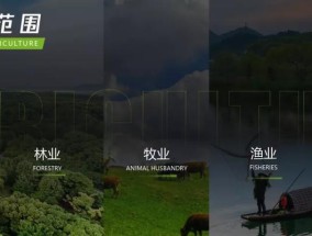 提升PPT形象魅力，图文填充调整排版助力（解析PPT图片填充调整排版的技巧与要点）