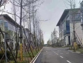 飞利浦厂长白班工作环境如何？