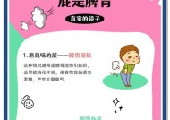 为什么有些人会一天放屁特别多（探究屁多的原因和解决方法）