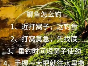 野钓大鲫鱼技术要点（掌握以下技巧）