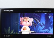 CF中最高端外设的价格是多少？