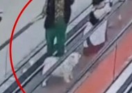 男孩商场扶梯上被狗咬伤，狗主人安慰几句后竟直接离开！警方介入