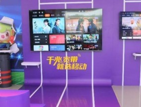 湖州线下观赛的购票流程是什么？有哪些注意事项？