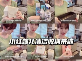 苹果手机点阵如何清洁？有哪些推荐的清洁方法？