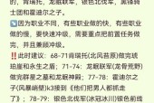 魔兽世界黑石装备怎么刷？需要哪些条件？