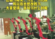 美观机器人具备哪些功能？如何操作使用？