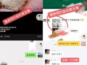 魔兽制紫色装备怎么重造？需要哪些材料？