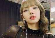 丽莎适合哪些队伍玩英雄联盟？丽莎在队伍中的角色定位是什么？
