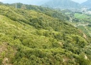 松阳区新能源锂电池项目中标单位是哪家？中标单位信息公布了吗？