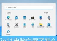 电脑白屏时如何调整显示器设置？需要什么工具？
