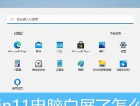 电脑白屏时如何调整显示器设置？需要什么工具？