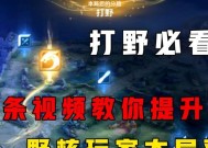 王者荣耀中打野位置为何重要？打野的作用是什么？