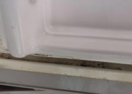 如何彻底清洗发霉的冰箱胶条（去除发霉）