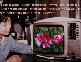 9尾狐在cf手游中价格是多少？如何获得？
