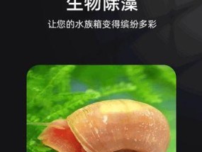 电视机屏幕鱼缸清洗方法是什么？如何保持清洁？