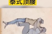 双人控制技巧和设置方法是什么？