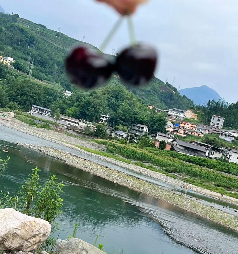 在小河边拍照如何突出自然美？手机拍照技巧有哪些？  第1张