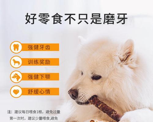充电器磨牙胶的正确使用方法是什么？  第2张