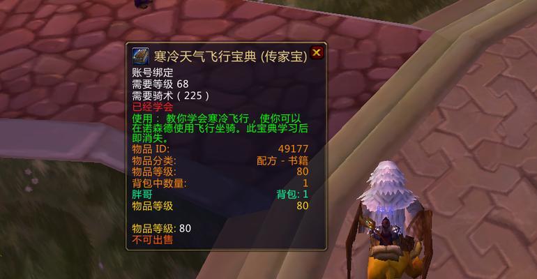 魔兽世界中如何设置自动向前飞行？  第3张