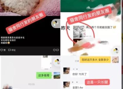 魔兽制紫色装备怎么重造？需要哪些材料？  第1张