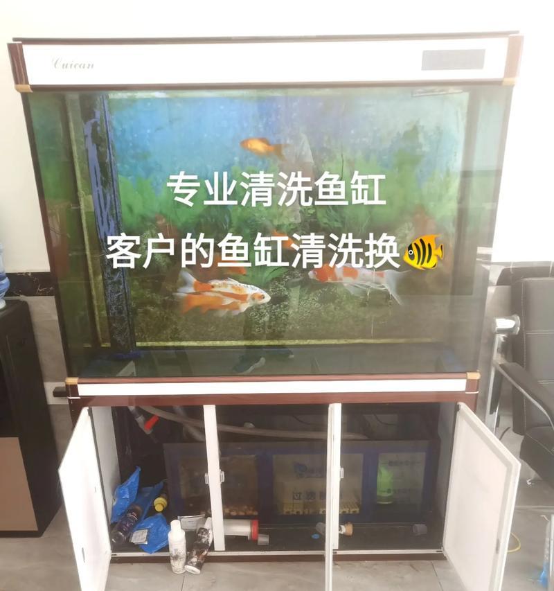 电视机屏幕鱼缸清洗方法是什么？如何保持清洁？  第2张