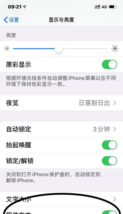 苹果手机如何使用粗体文本？  第2张