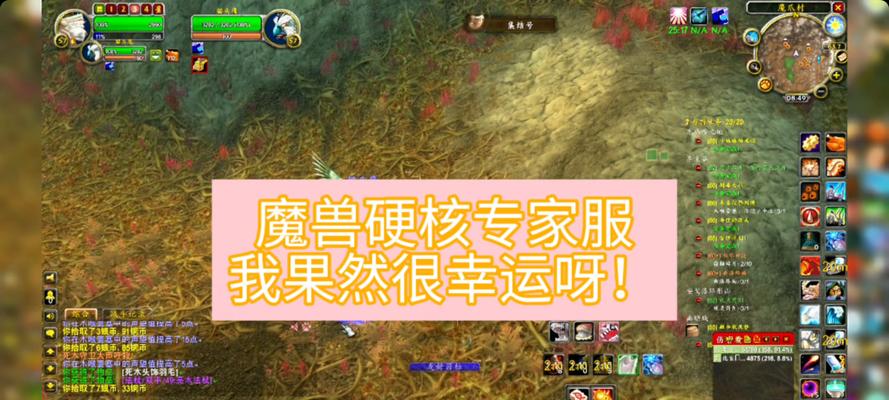 魔兽世界40级快速升级攻略？硬核模式下的升级技巧有哪些？  第2张