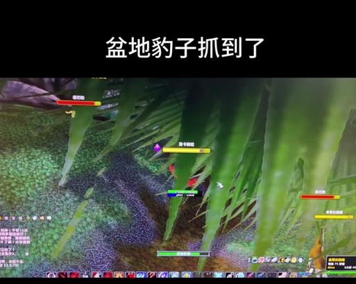 魔兽游戏中如何变身为豹子？  第2张