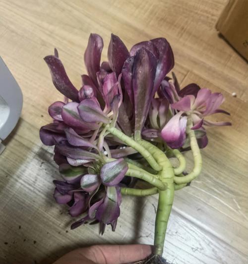 法师搓水技能如何升级？升级过程中需要注意什么？  第1张