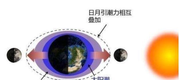 致命节奏移除的原因是什么？  第3张