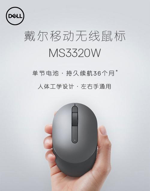 戴尔严选鼠标驱动下载方法是什么？下载后如何安装？  第2张