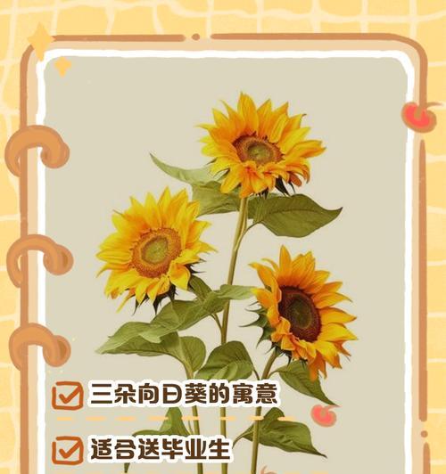 向日葵与国家有何联系？象征意义是什么？  第3张