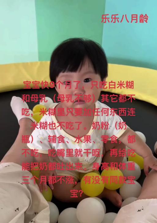 红米手机制作米糊的视频教程在哪里？  第3张
