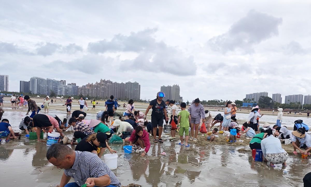 台风韦帕走后，北海大墩海惊现大量海螺，游客市民说根本捡不完  第3张