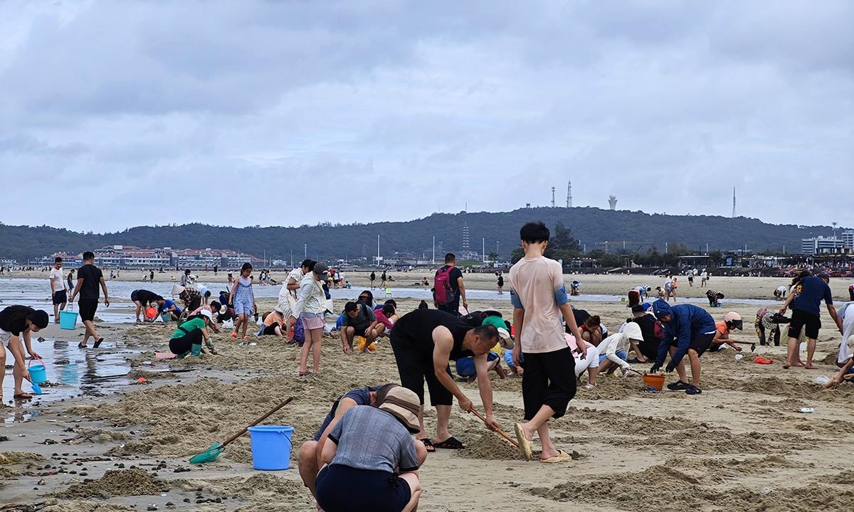 台风韦帕走后，北海大墩海惊现大量海螺，游客市民说根本捡不完  第5张