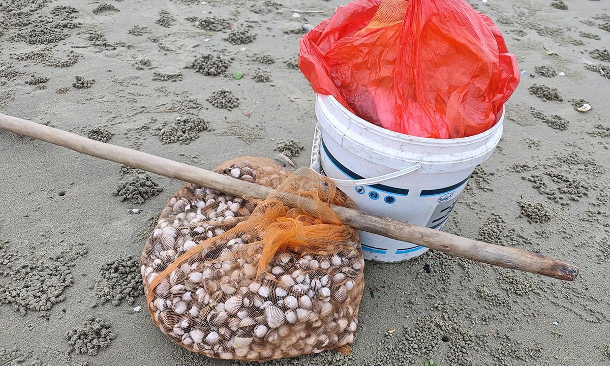 台风韦帕走后，北海大墩海惊现大量海螺，游客市民说根本捡不完  第6张
