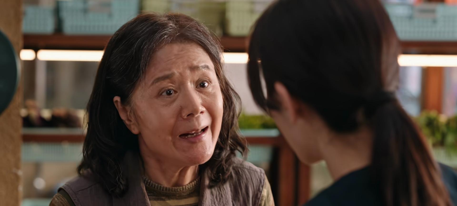 《利剑玫瑰》林然没有回来！章阿姨被算计了，吴斌的真实身份太狠  第19张