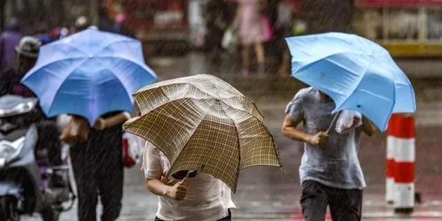 台风“杨柳”今晚到明晨在粤闽交界登陆,广东多地暴雨大暴雨来袭  第8张