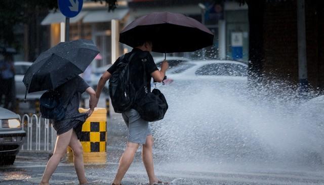 台风“杨柳”今晚到明晨在粤闽交界登陆,广东多地暴雨大暴雨来袭  第9张