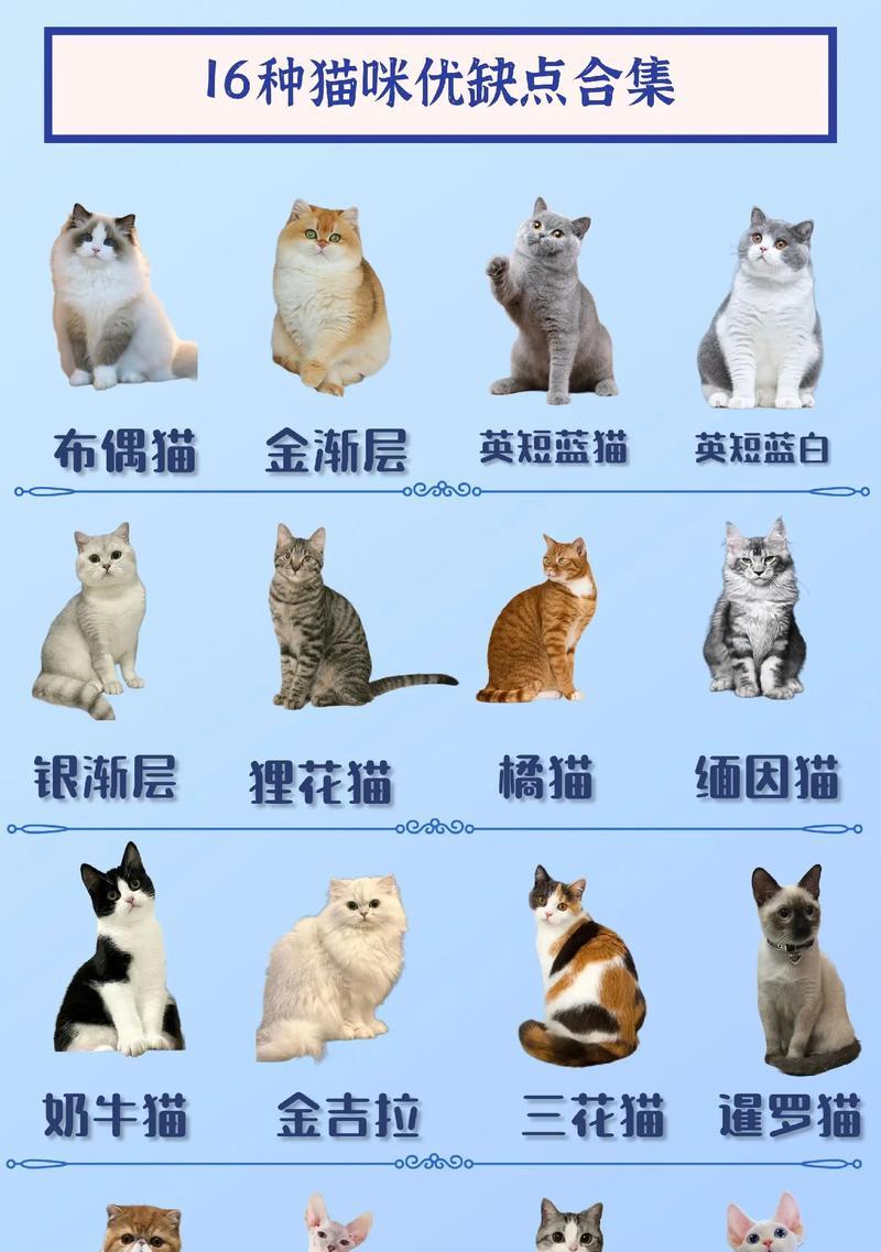 探秘世界各地的猫咪品种（了解猫咪世界）  第2张