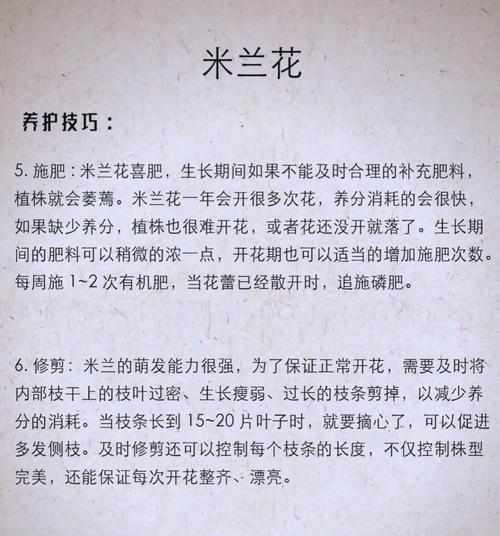 如何科学养护米兰花（浇水注意事项及养护技巧）  第1张