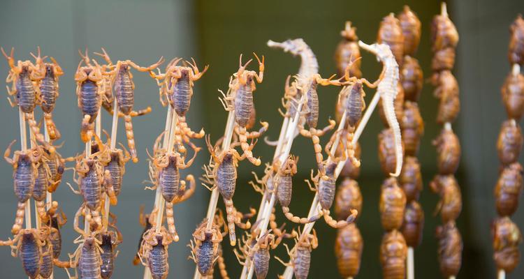 蝎子蛰了怎么办（应对蝎子蛰伤的方法及注意事项）  第1张