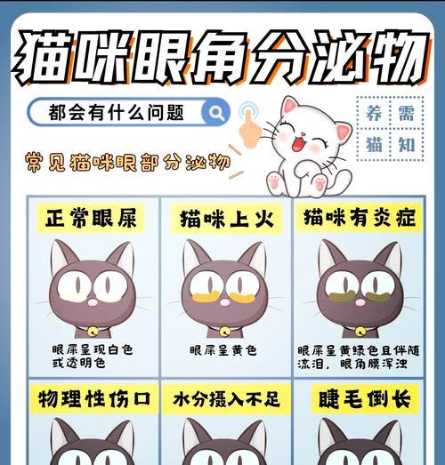 为什么会有过多的眼屎（原因）  第2张
