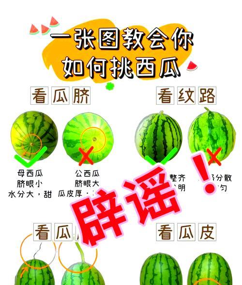 如何判断西瓜是否成熟（揭开西瓜成熟的5个关键特征）  第2张
